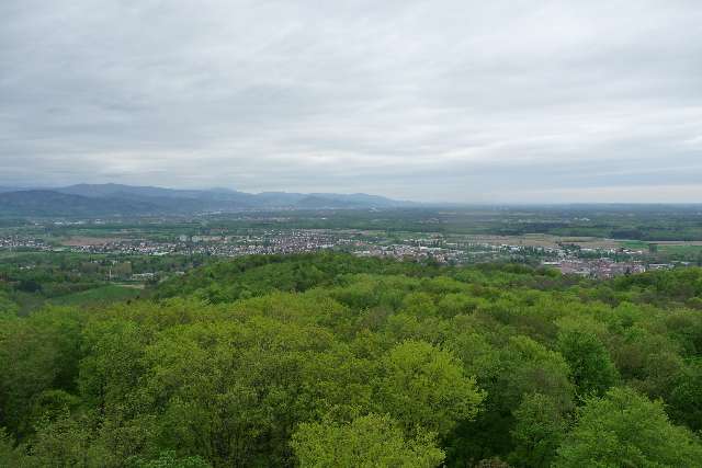 Ausblick vom Eichbergturm